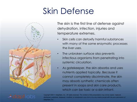 The Skin: The First Line of Defense